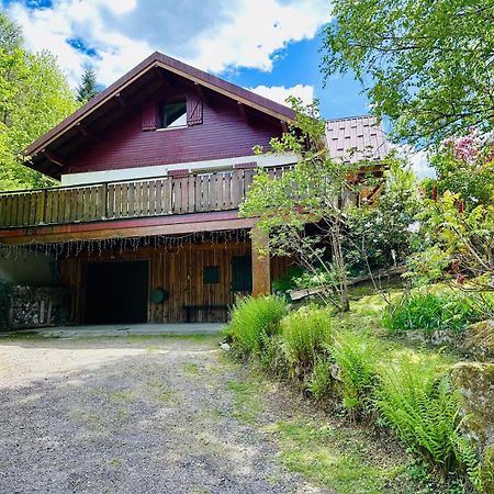 Les Cimes Blanches Cledicihome Chalet 10 Pers Spa & Grand Terrain 4 Minutes Des Pistes La Bresse Bagian luar foto