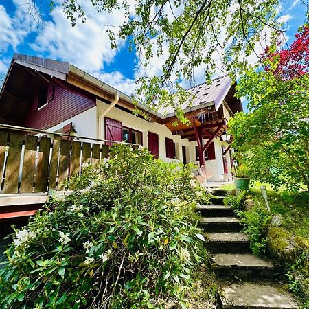 Les Cimes Blanches Cledicihome Chalet 10 Pers Spa & Grand Terrain 4 Minutes Des Pistes La Bresse Bagian luar foto