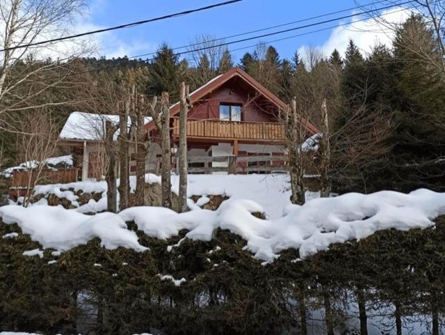 Les Cimes Blanches Cledicihome Chalet 10 Pers Spa & Grand Terrain 4 Minutes Des Pistes La Bresse Bagian luar foto